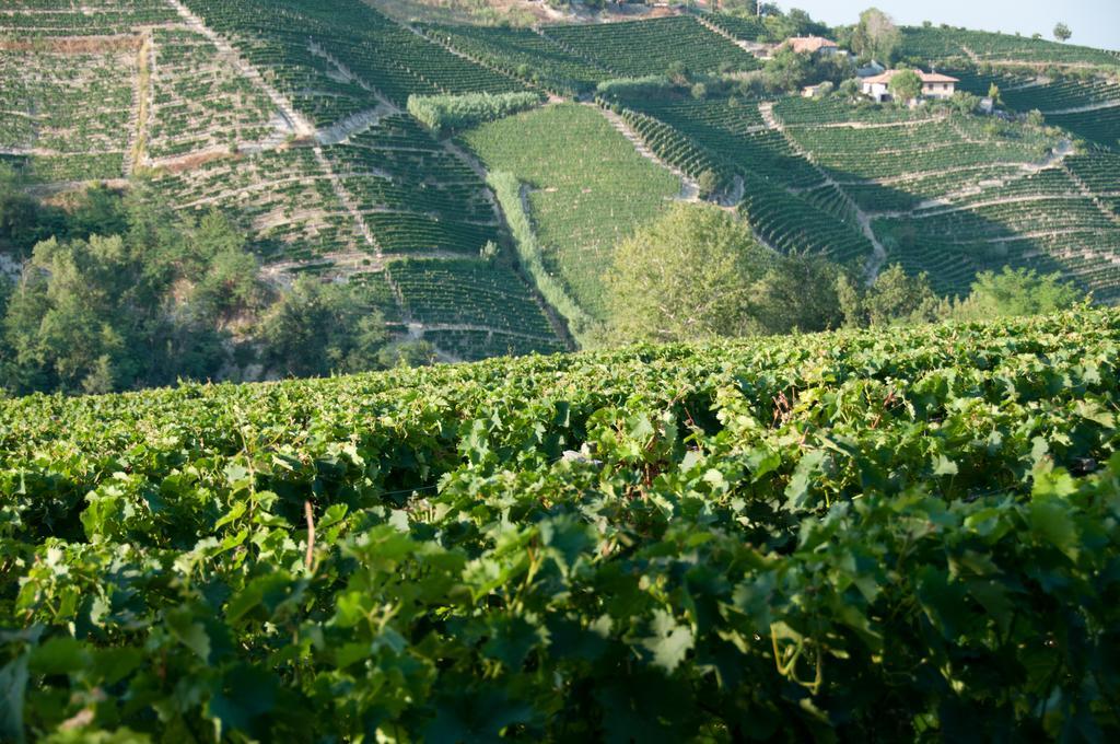 Cadgal - Tenuta Valdivilla Santo Stefano Belbo Extérieur photo